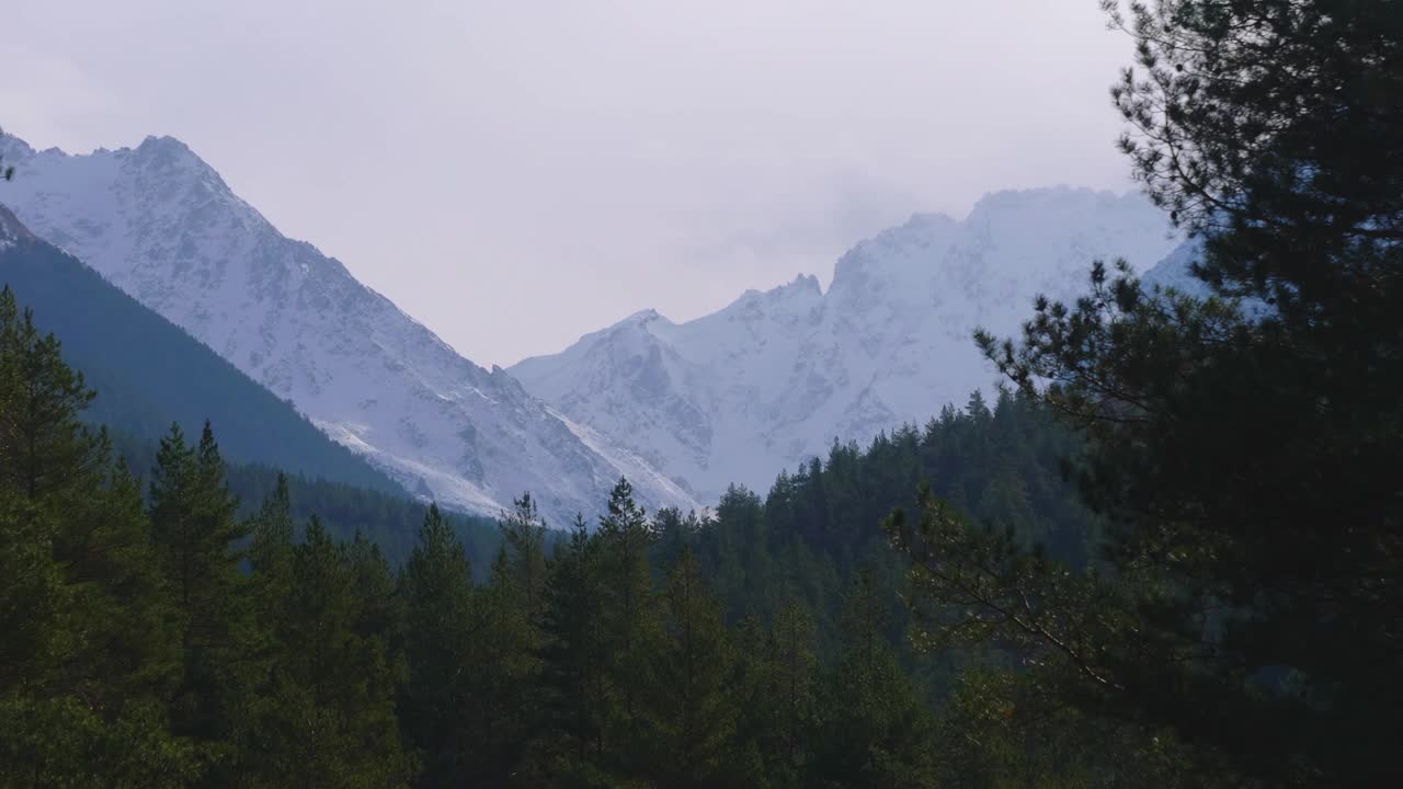 前景中有树木的山脉景色视频素材