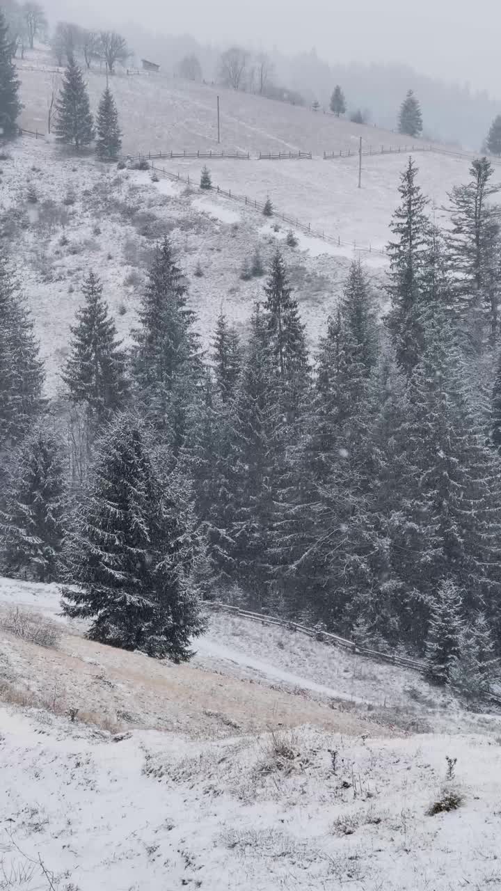 冬天的山林和雪花飘落视频下载