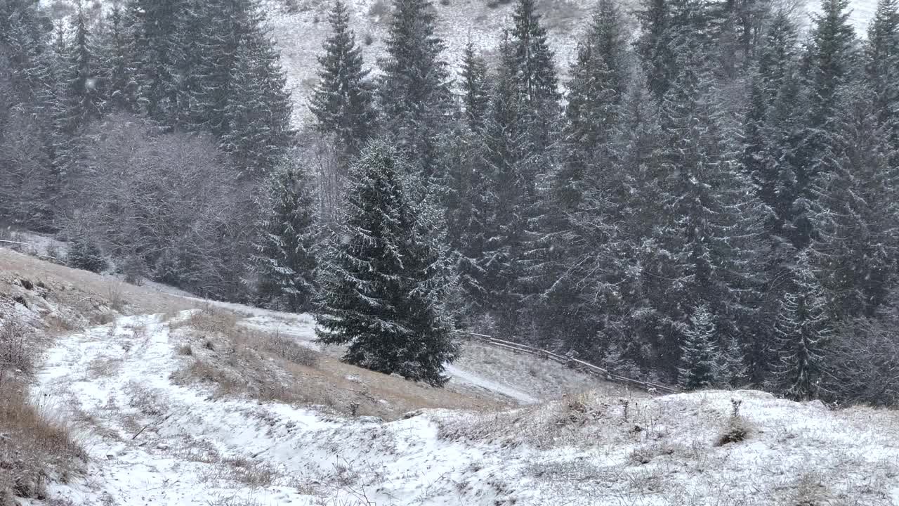 冬天的山林和雪花飘落视频下载