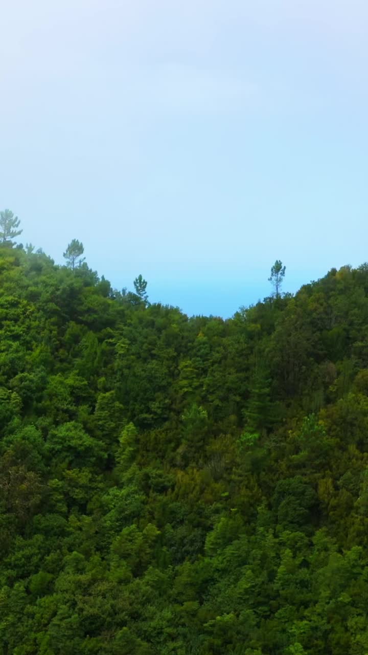 空中无人机拍摄的城镇在马德拉岛落基山沿蓝色大西洋视频素材