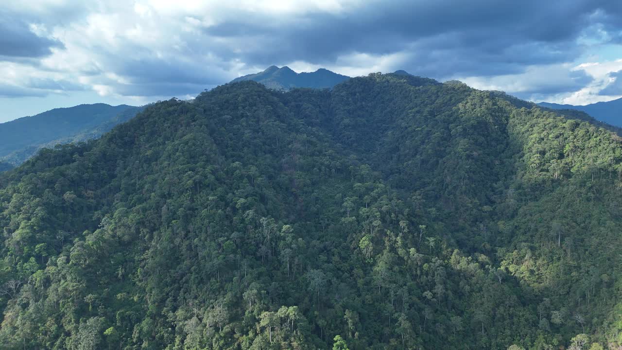 鸟瞰图一个森林充满了大树与山的背景。视频素材