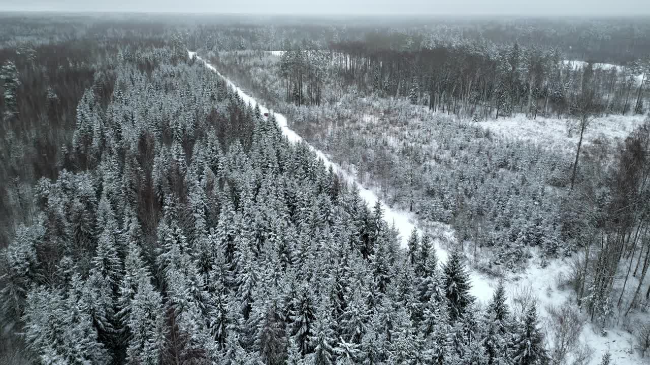 雪林与霜冻在树上的冬季景观-空中天桥视频素材