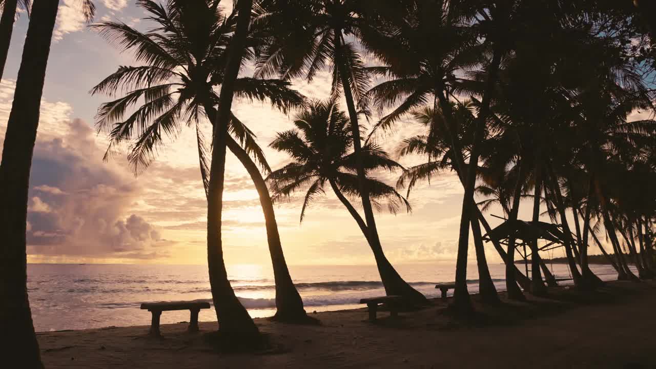 马尔代夫海滩椰子树和日出或日落的音调在热带海滩与海洋。棕榈树的剪影视频素材