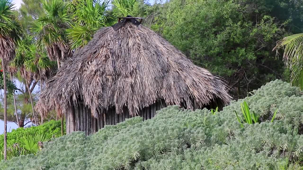 墨西哥热带丛林海滩入口处的玛雅小屋。视频素材