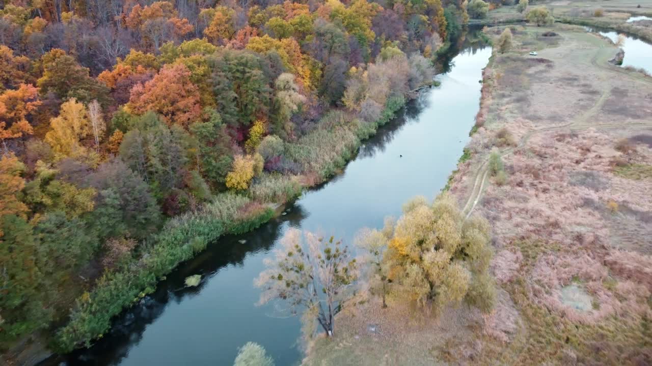 秋日空中俯瞰河流，河岸树木繁茂视频素材