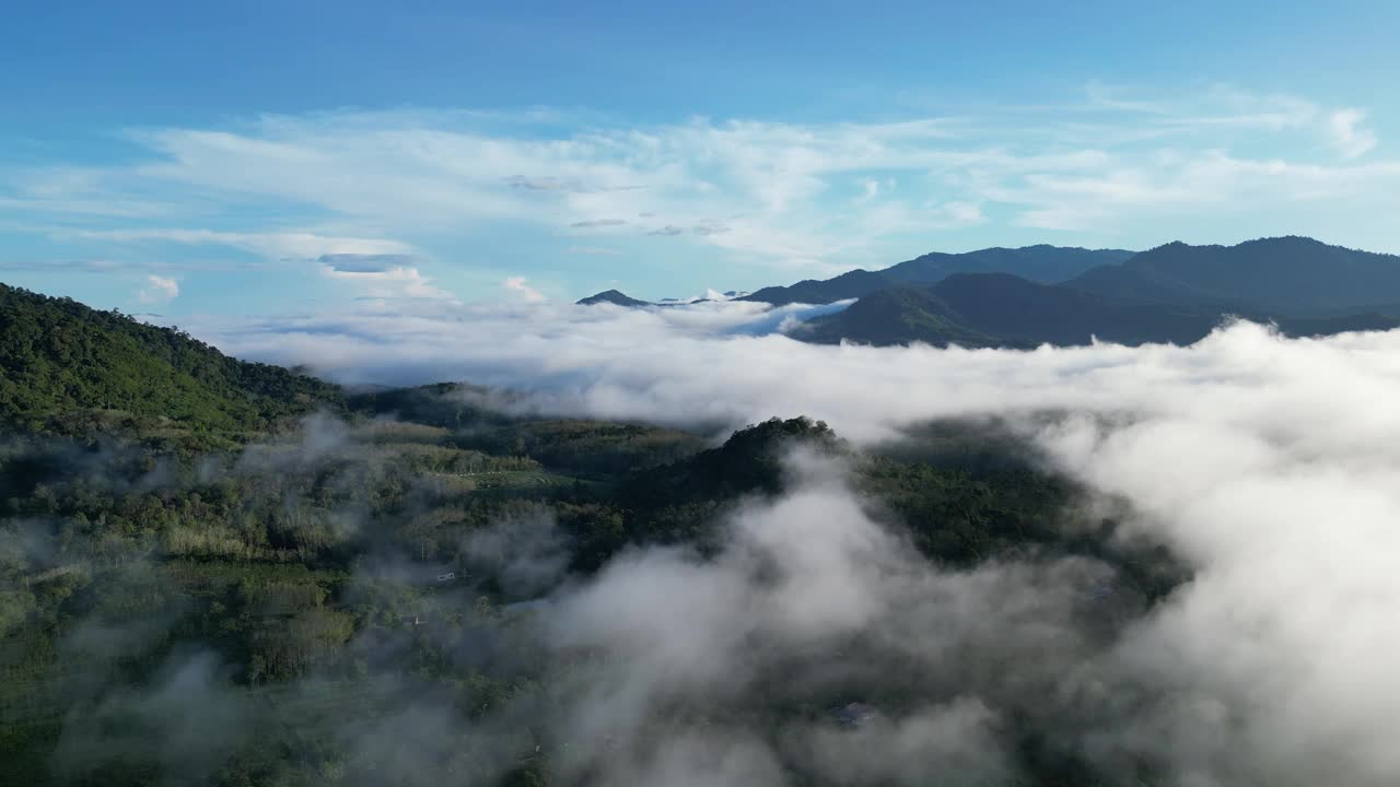 空中宁静的氛围笼罩在一层白云的种植园视频素材