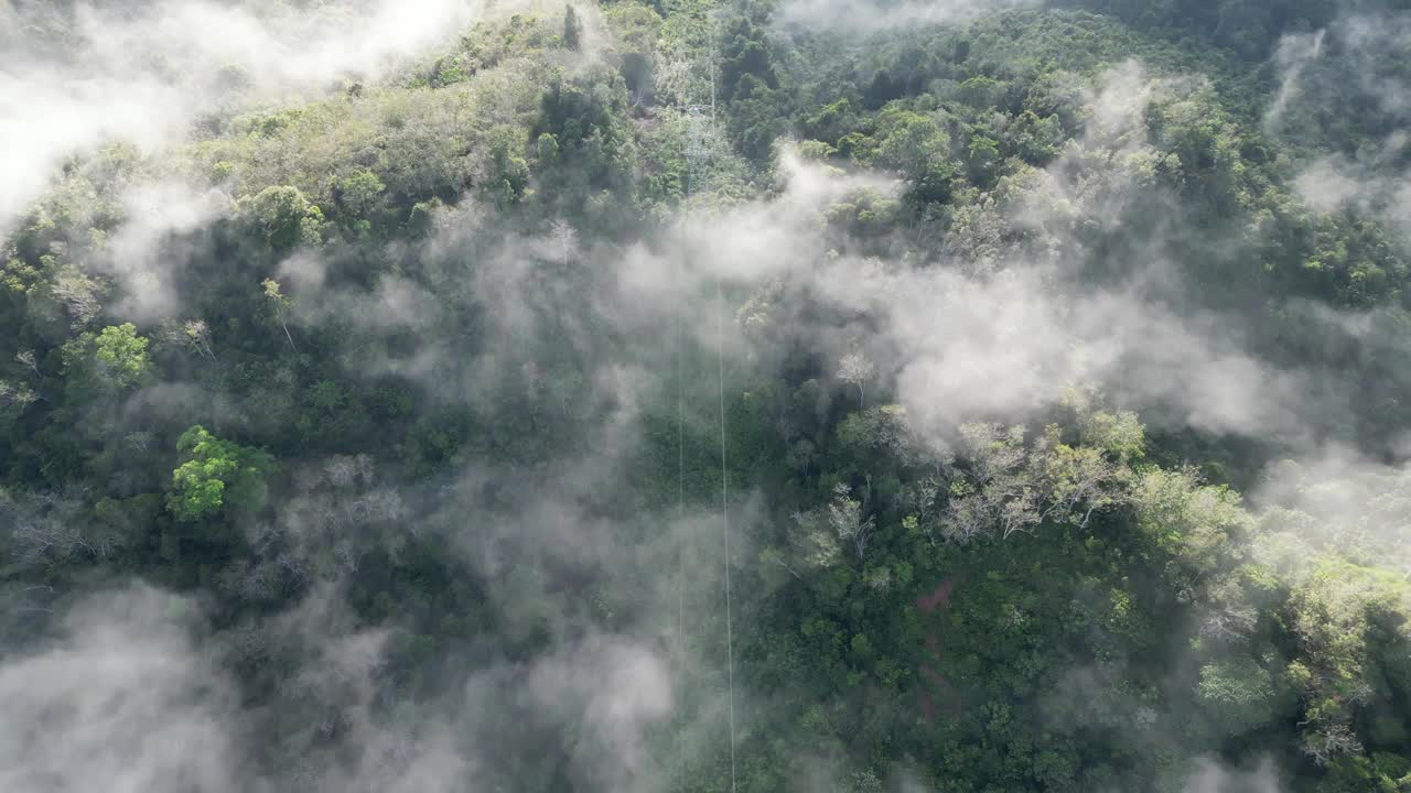 低云下森林上空的电塔鸟瞰图视频素材