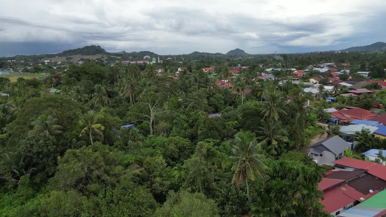 在bukit mertajam的马来人村庄附近，飞机飞过郁郁葱葱的树视频素材