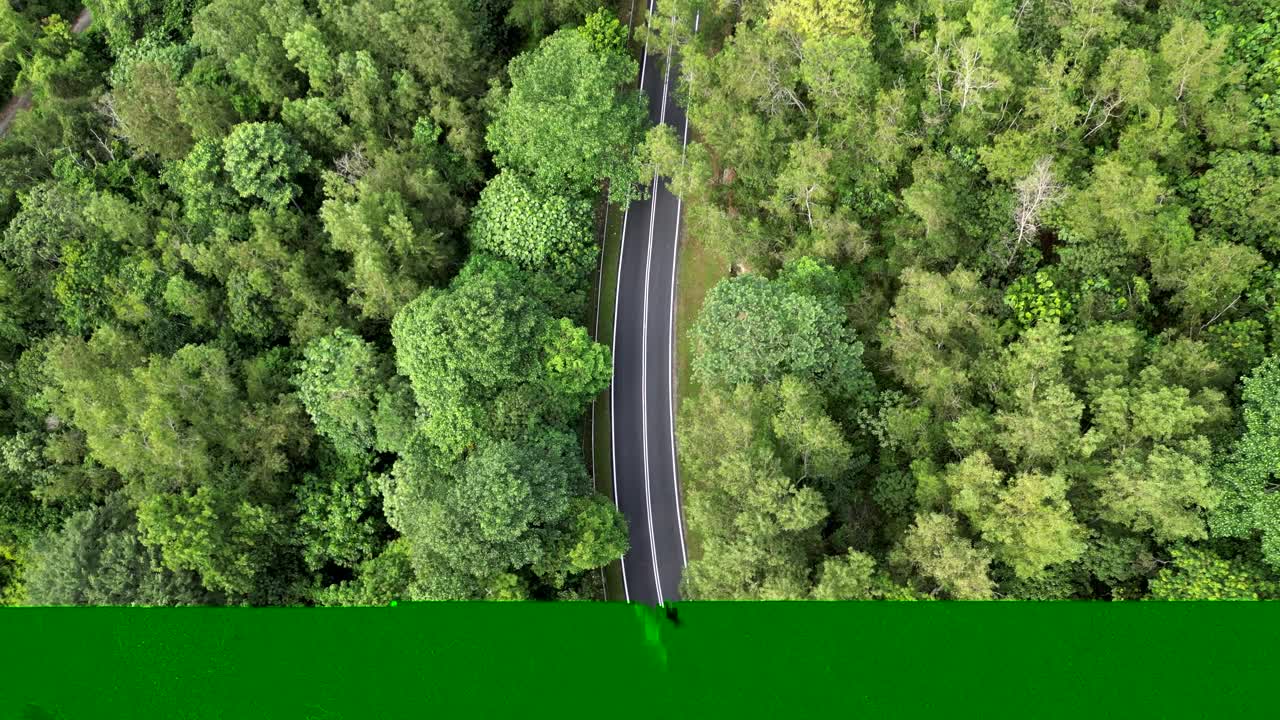 穿过茂密森林的风景柏油路的俯视图视频素材