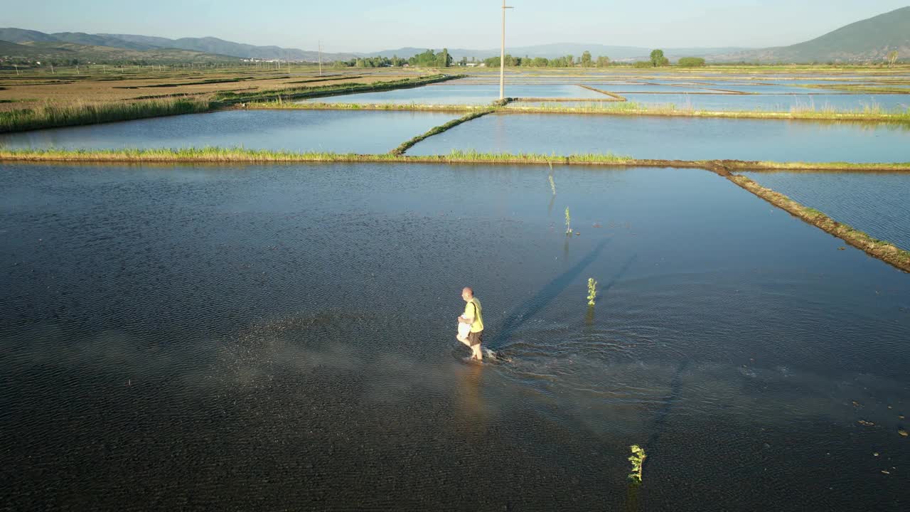 男农民在稻田撒种，用手撒种，慢动作航拍视频素材