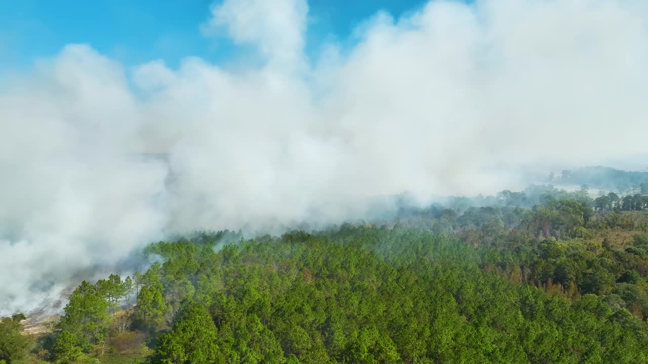 鸟瞰图:森林大火产生的白烟上升，污染了大气。自然灾害概念视频素材