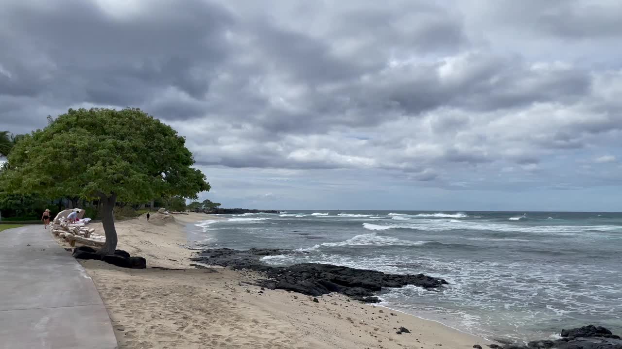 在一个阴天密布的日子里，夏威夷大岛海滩上的一棵风景秀丽的热带树视频下载