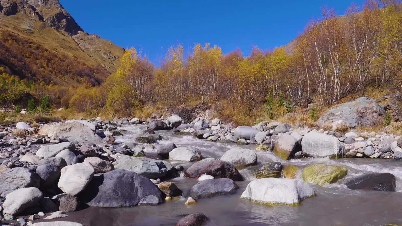 托雷斯德尔潘恩，河流，智利雄伟的巴塔哥尼亚景观林地视频素材