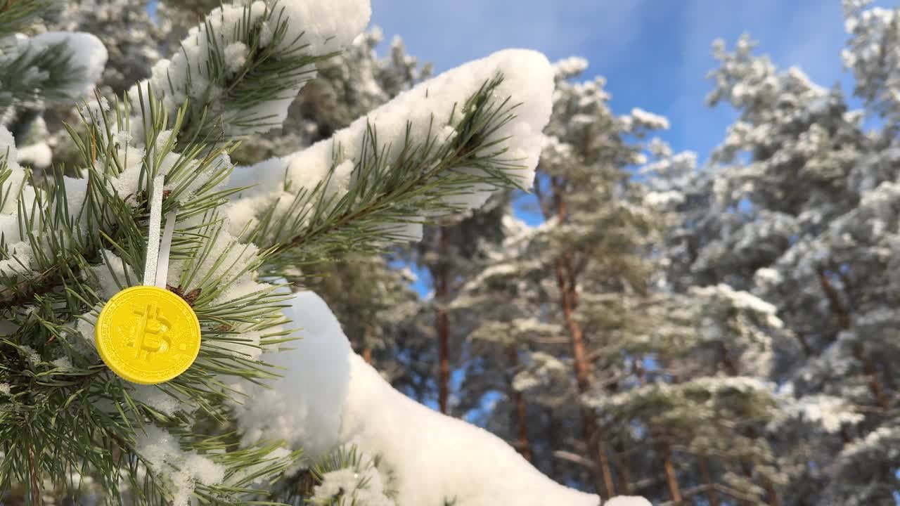 在冬天的森林里被冻结的比特币视频下载