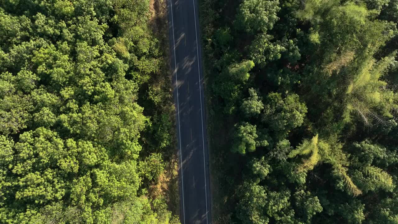 无人机鸟瞰图驾驶穿过山路日落视频素材