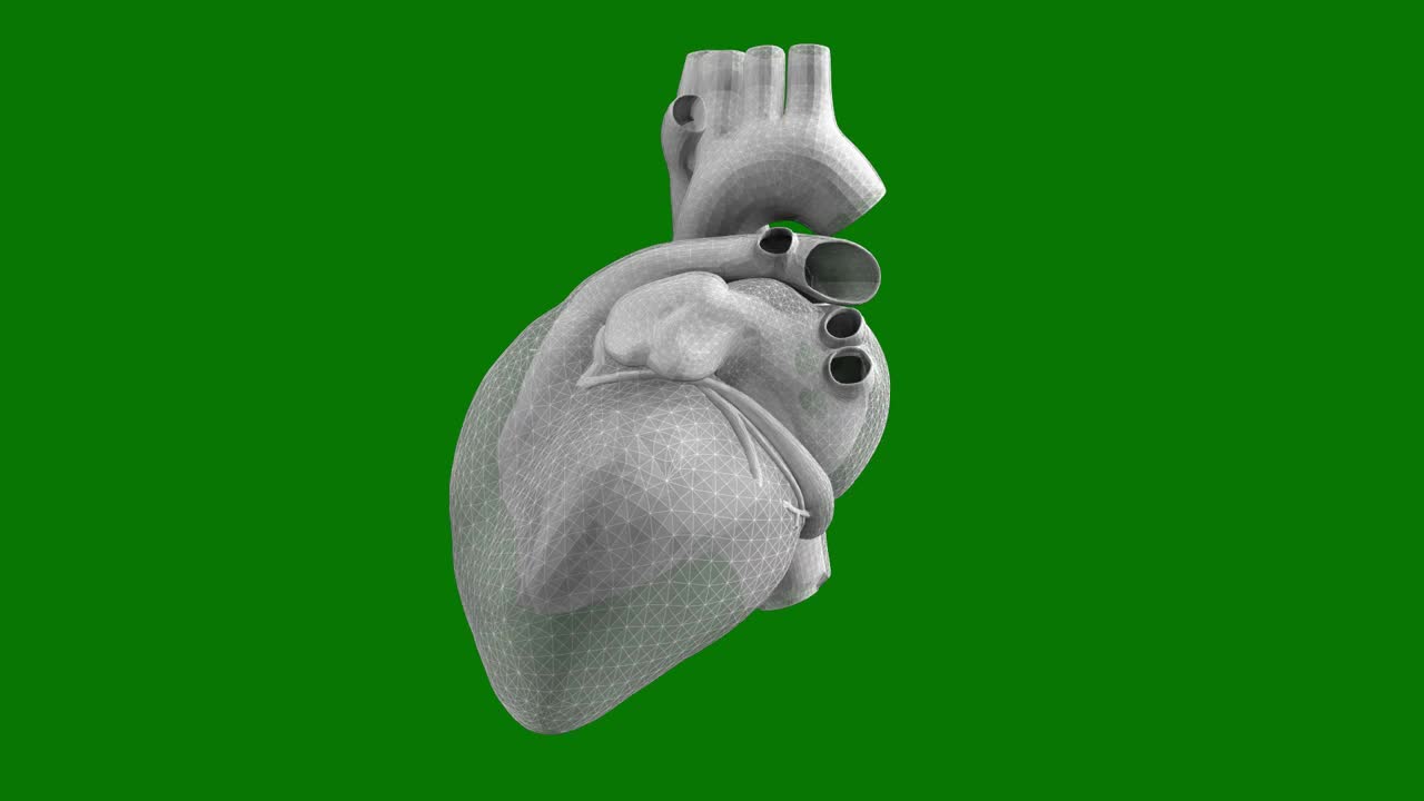一个跳动的人类心脏旋转与Alpha通道的三维动画-医学可视化视频素材
