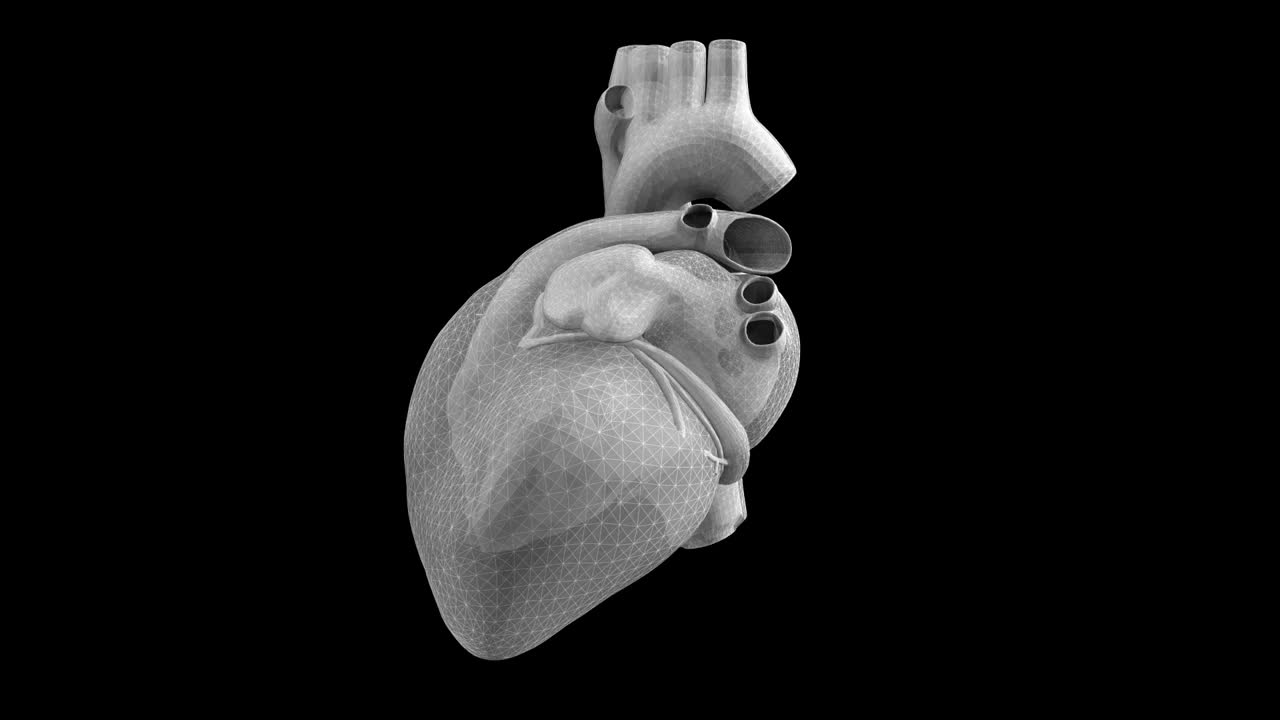 一个跳动的人类心脏旋转与Alpha通道的三维动画-医学可视化视频素材