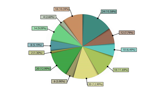 动画饼图，十二个部分。两个版本。哑光。视频素材