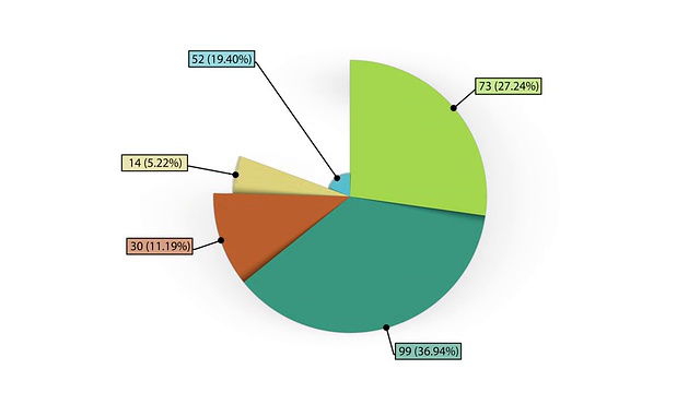 动画饼图，五个部分。两个版本。哑光。视频素材