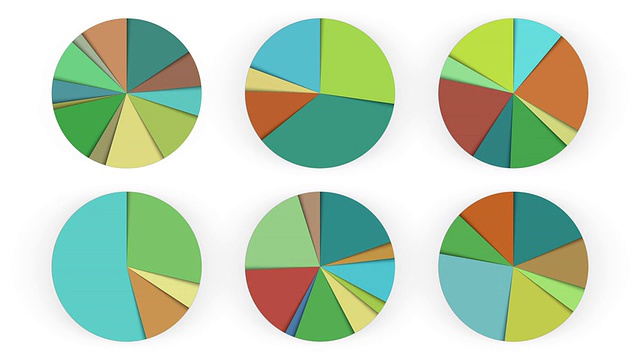 动画饼图，12个版本。哑光。视频素材