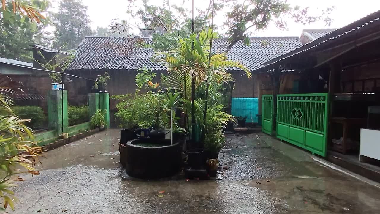 雨落在房前视频下载