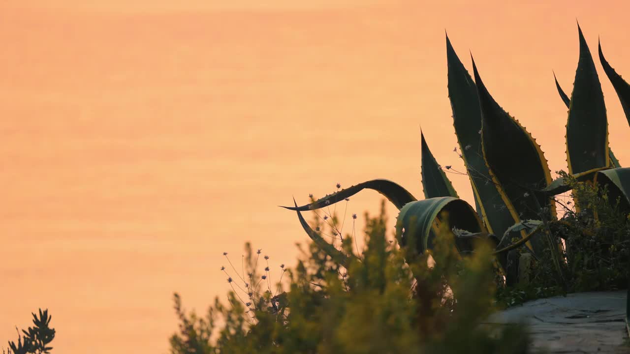 海上日落视频素材