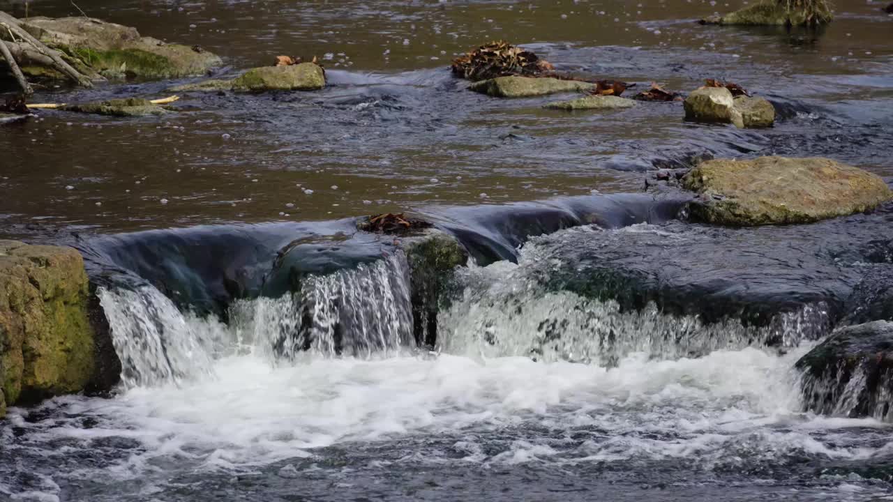 多个浅的迷你瀑布流动和层叠水平进入岩石河流视频素材