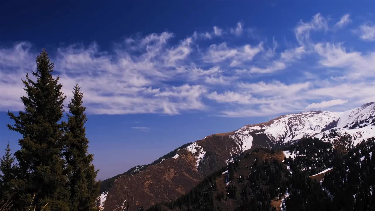 云山森林视频素材