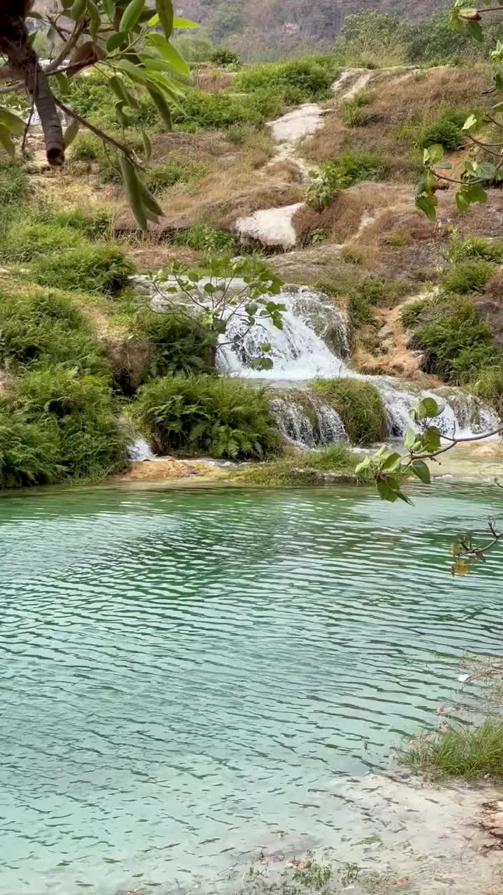 萨拉拉沙漠绿洲瓦迪达尔巴特瀑布与自然池在田园诗般的佐法尔自然保护区视频素材