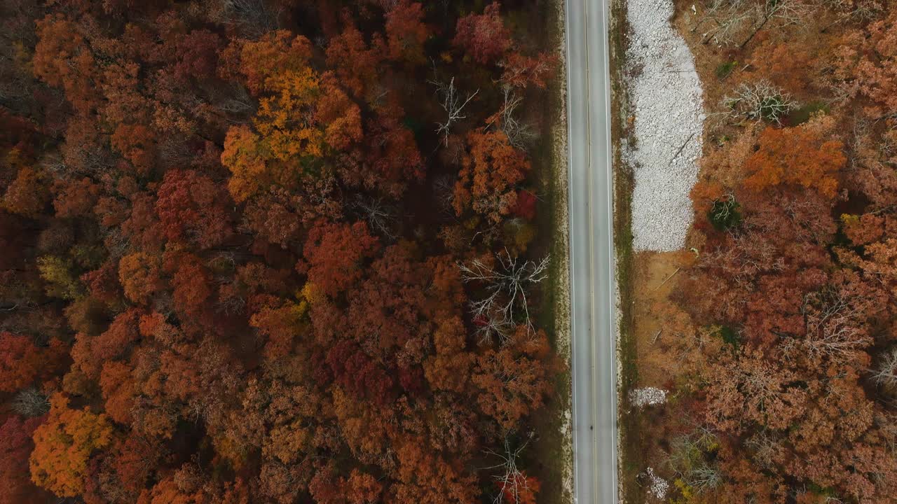 在美国阿肯色州郁郁葱葱的秋天森林之间的乡村道路-空中俯瞰视频素材