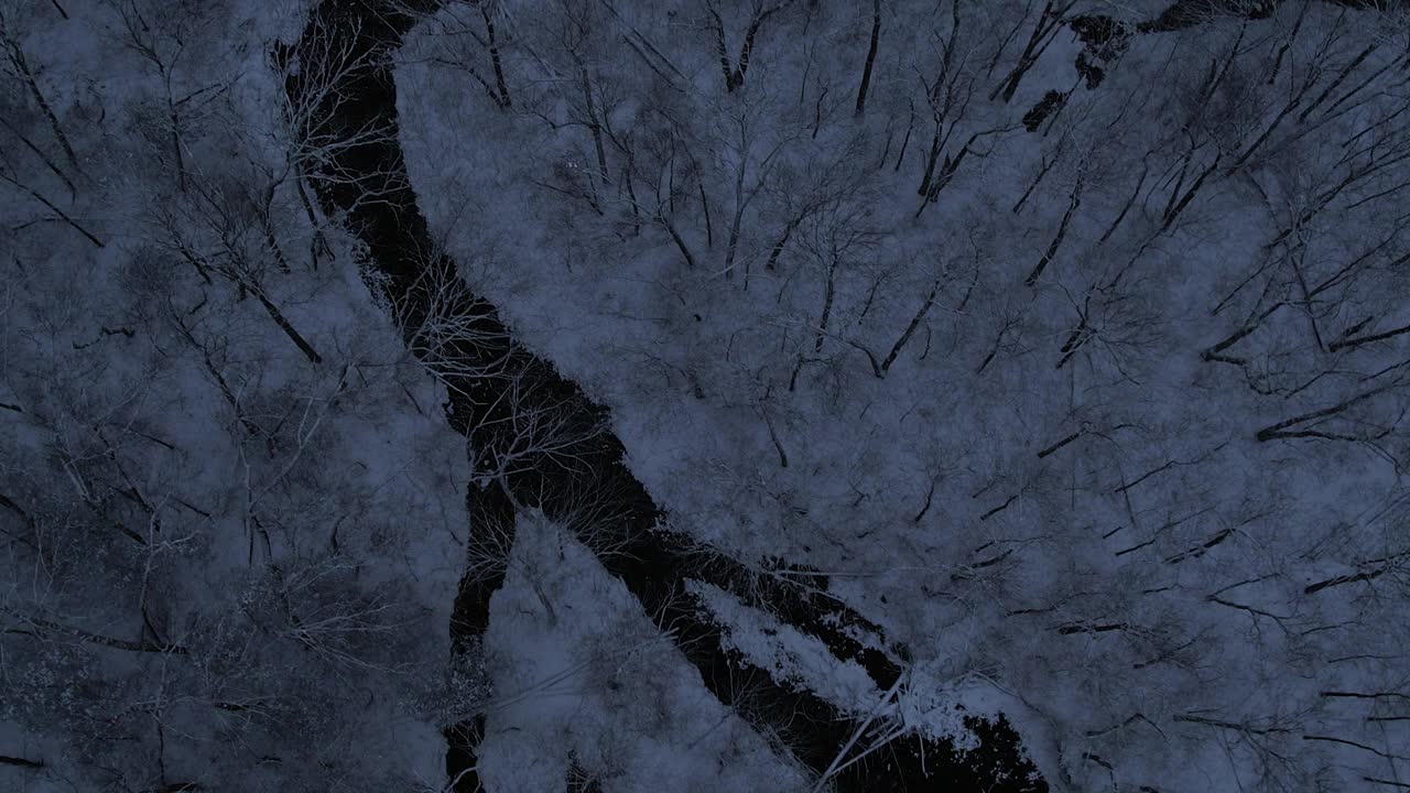 航拍自顶向下无人机拍摄的一段美丽的、白雪覆盖的林地溪流和夜间森林的视频视频素材