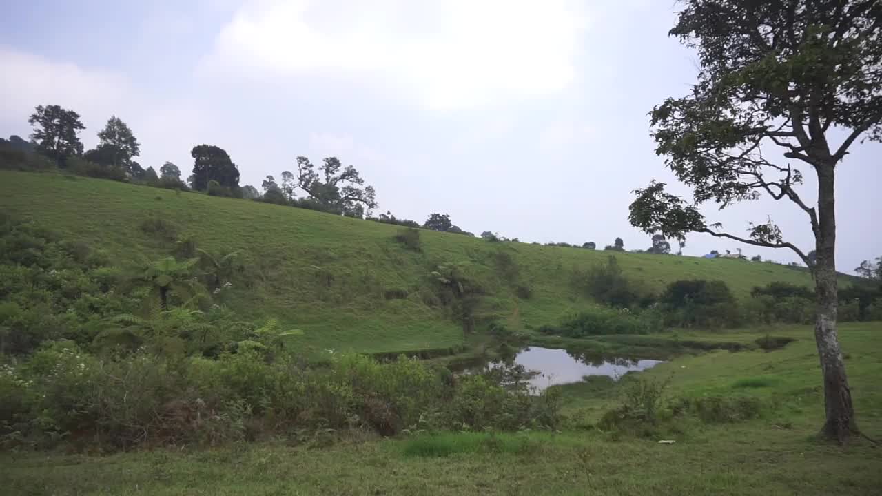 自然风光山脉自然全景丘陵，高大的绿树森林和绿色种植园斜坡在多云的蓝天下，白天视频素材