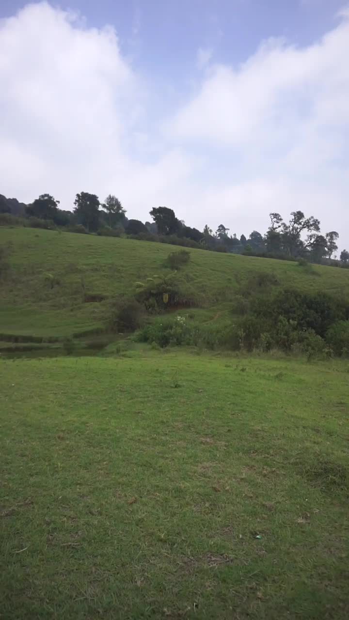 自然风光山脉自然全景丘陵，高大的绿树森林和绿色种植园斜坡在多云的蓝天下，白天视频素材