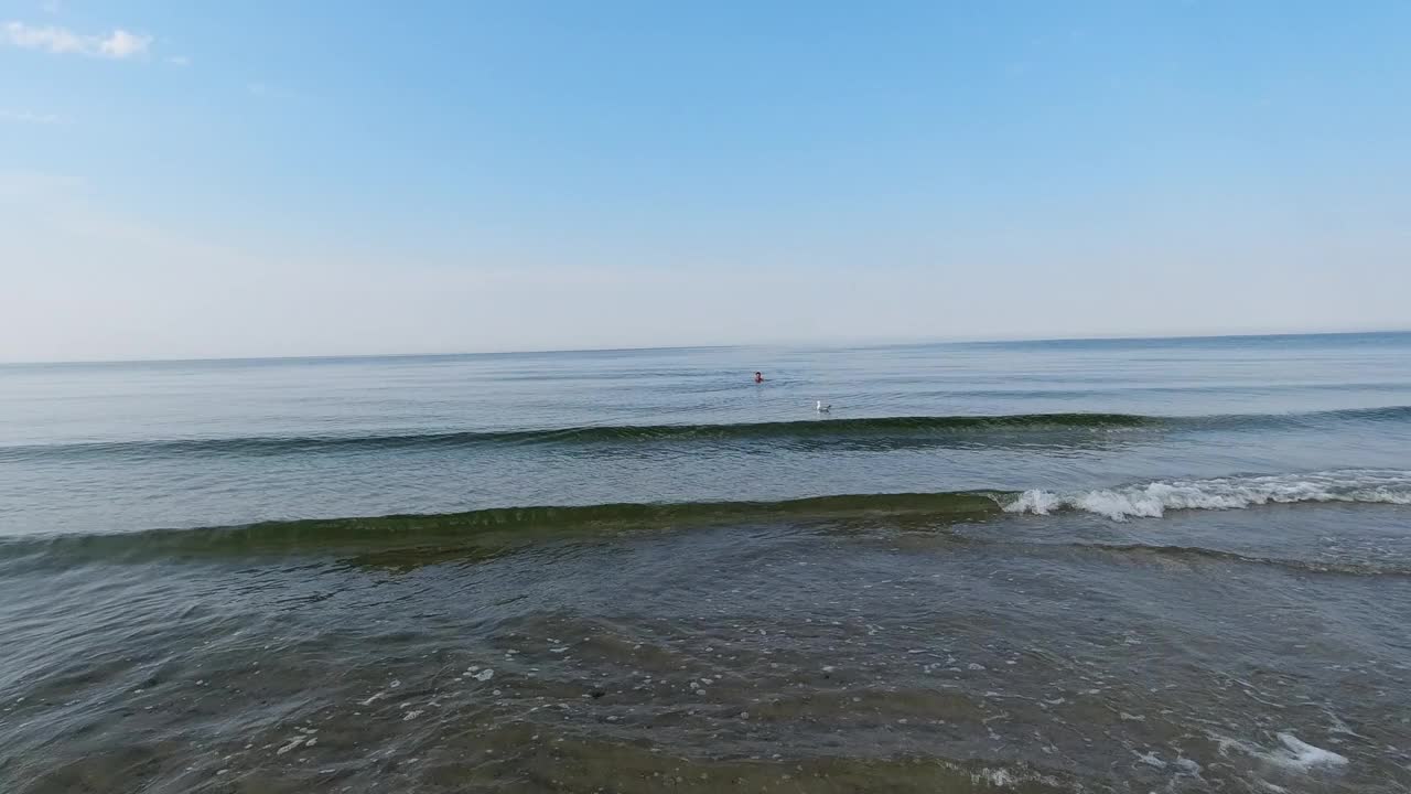 清晨平静的海面上有一个女人在洗澡。视频下载