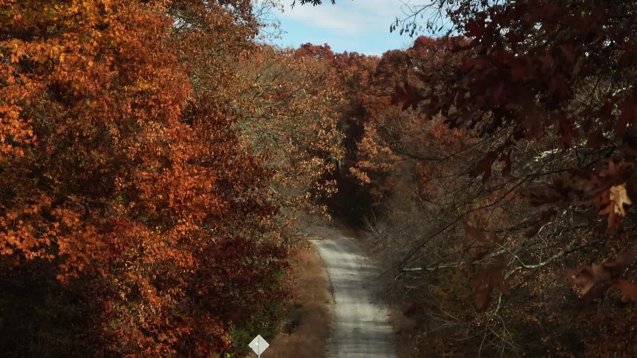 在秋天的森林道路鸟瞰图在AR，美国-无人机拍摄视频素材