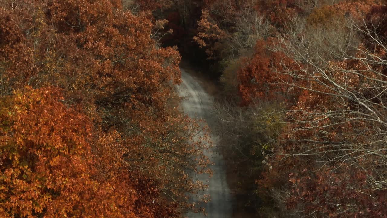 秋天森林中的道路——无人机拍摄视频素材