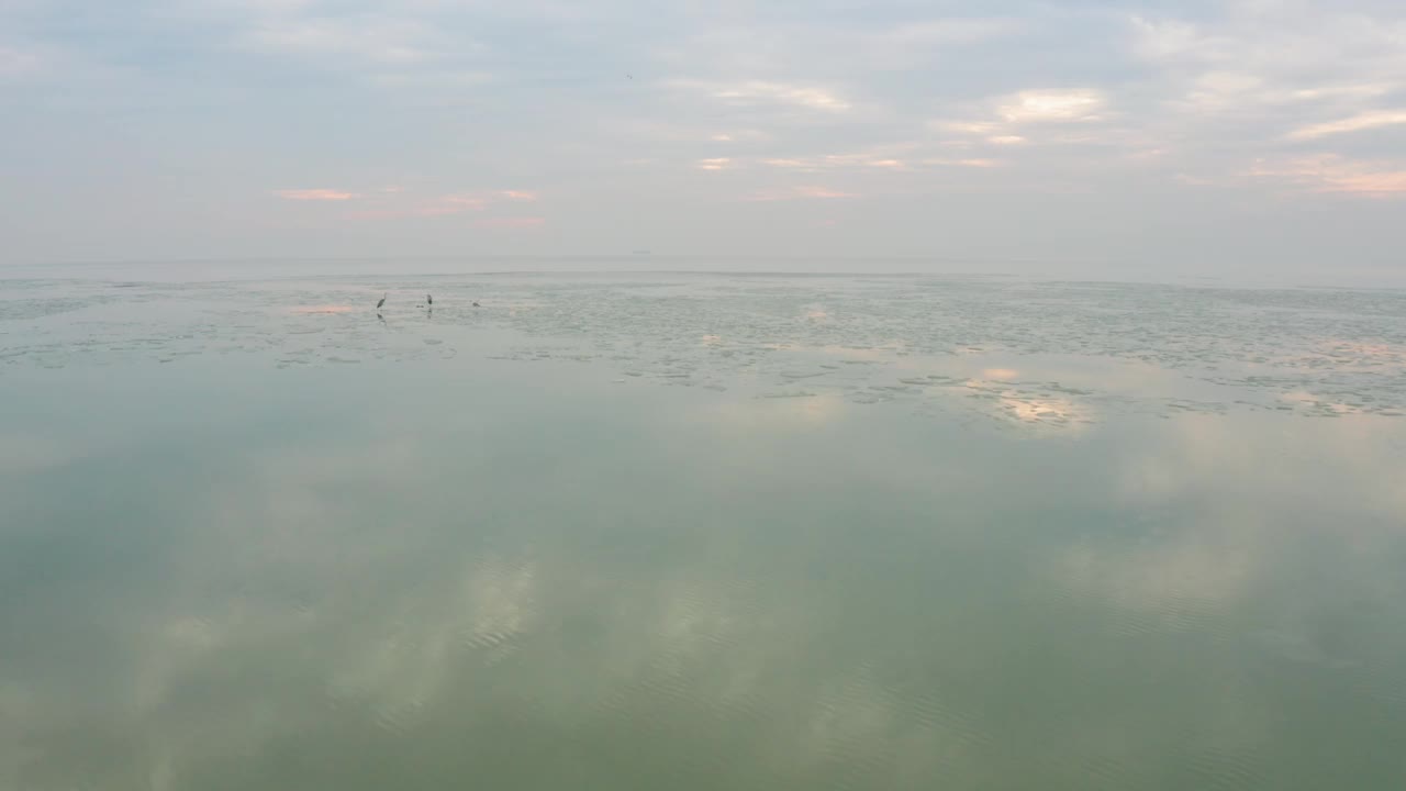 鸟儿飞过湖面视频下载