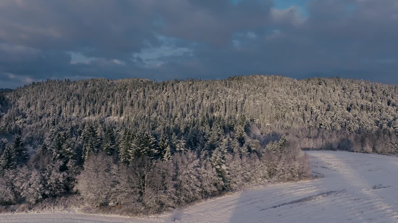 在挪威的冬天，飞越山上被雪覆盖的茂密森林。-航拍视频素材