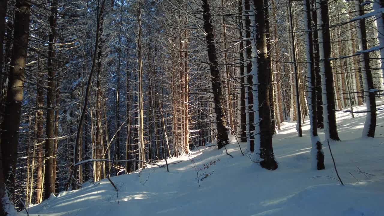 冬天的山林有雪覆盖和阳光视频素材