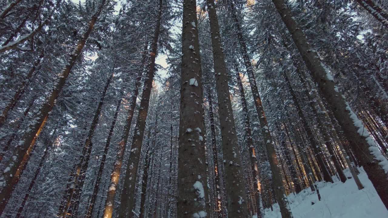 冬天的山林里有雪视频素材