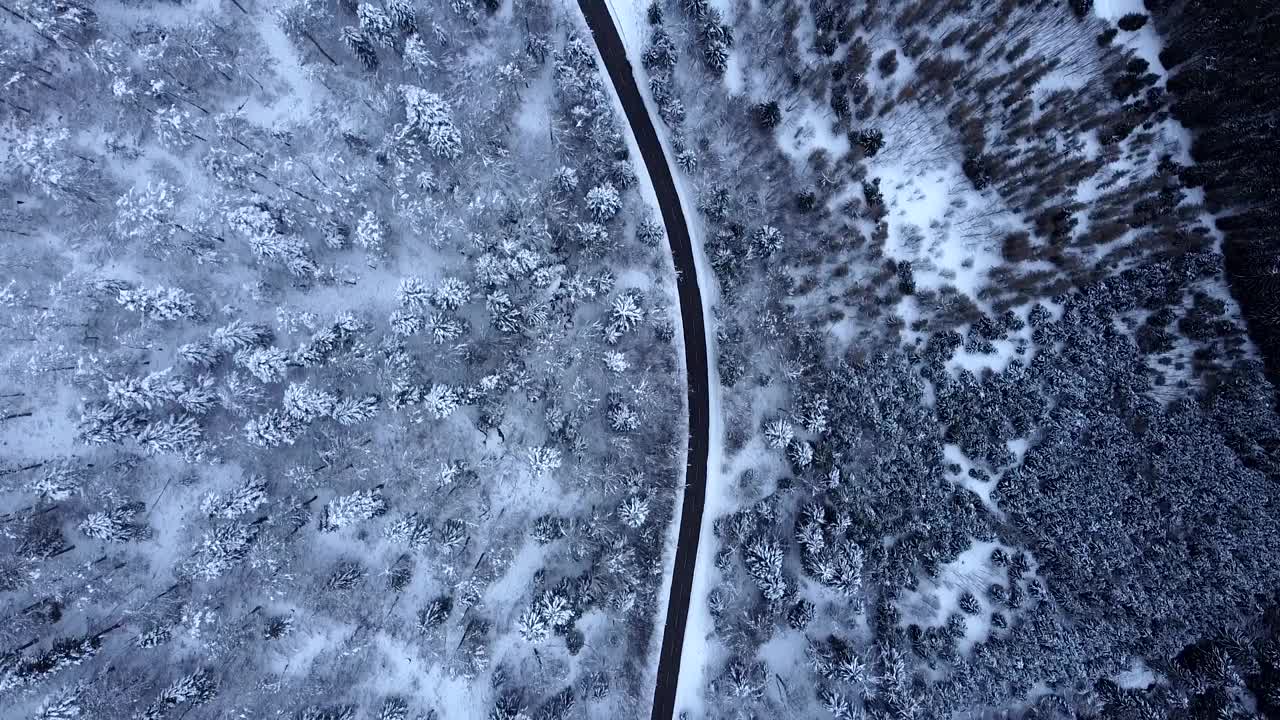 空中俯瞰的山路在积雪覆盖的森林在冬季在上孚日，法国视频素材