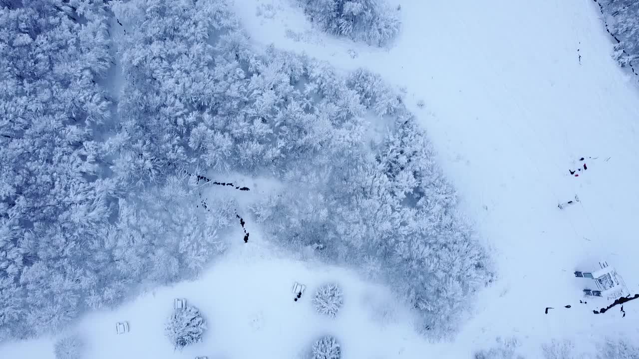 空中倾斜显示在上孚日湖白雪皑皑的山谷，法国视频素材