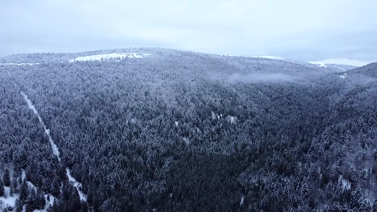 空中冬季景观揭示上孚日(法国)白雪皑皑的森林缓慢飞行视频素材