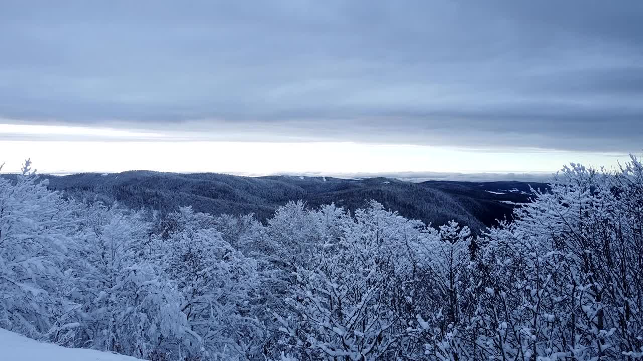 空中冬季景观揭示了上孚日(法国)的湖泊山谷与白雪皑皑的森林视频素材