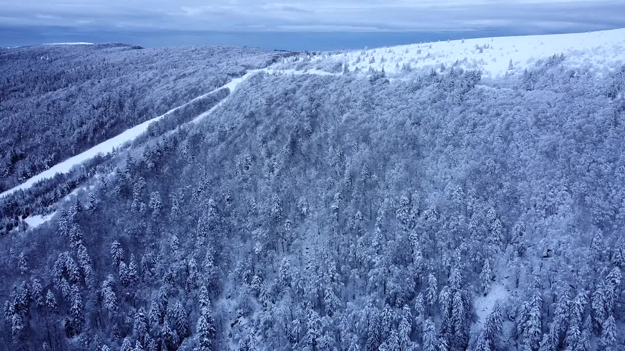 在法国上孚日的冬季，在白雪覆盖的森林中，从空中缓慢飞行的奇特莱特山路视频素材