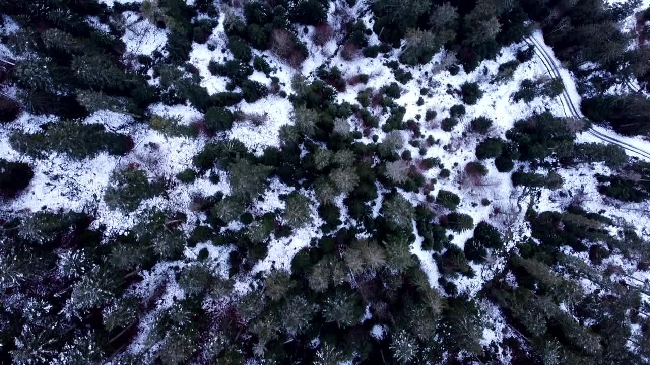 在法国上孚日的冬季，从空中俯瞰在白雪覆盖的森林中蜿蜒的山路视频素材