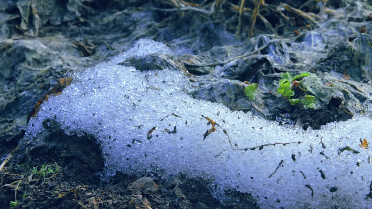 雪融化过程的特写镜头视频素材