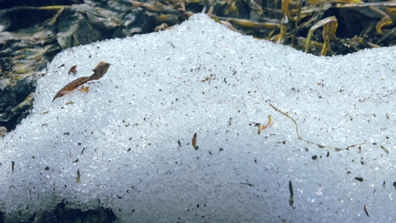 雪融化过程的特写镜头视频素材