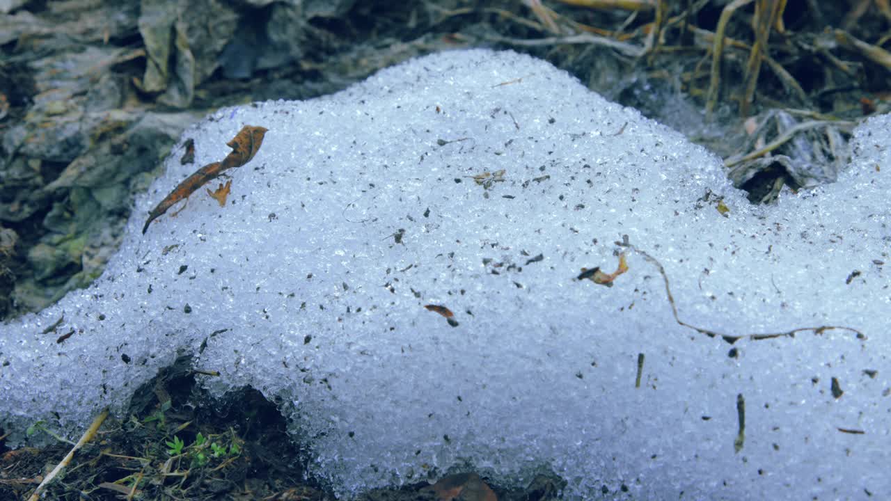 雪融化过程的特写镜头视频素材