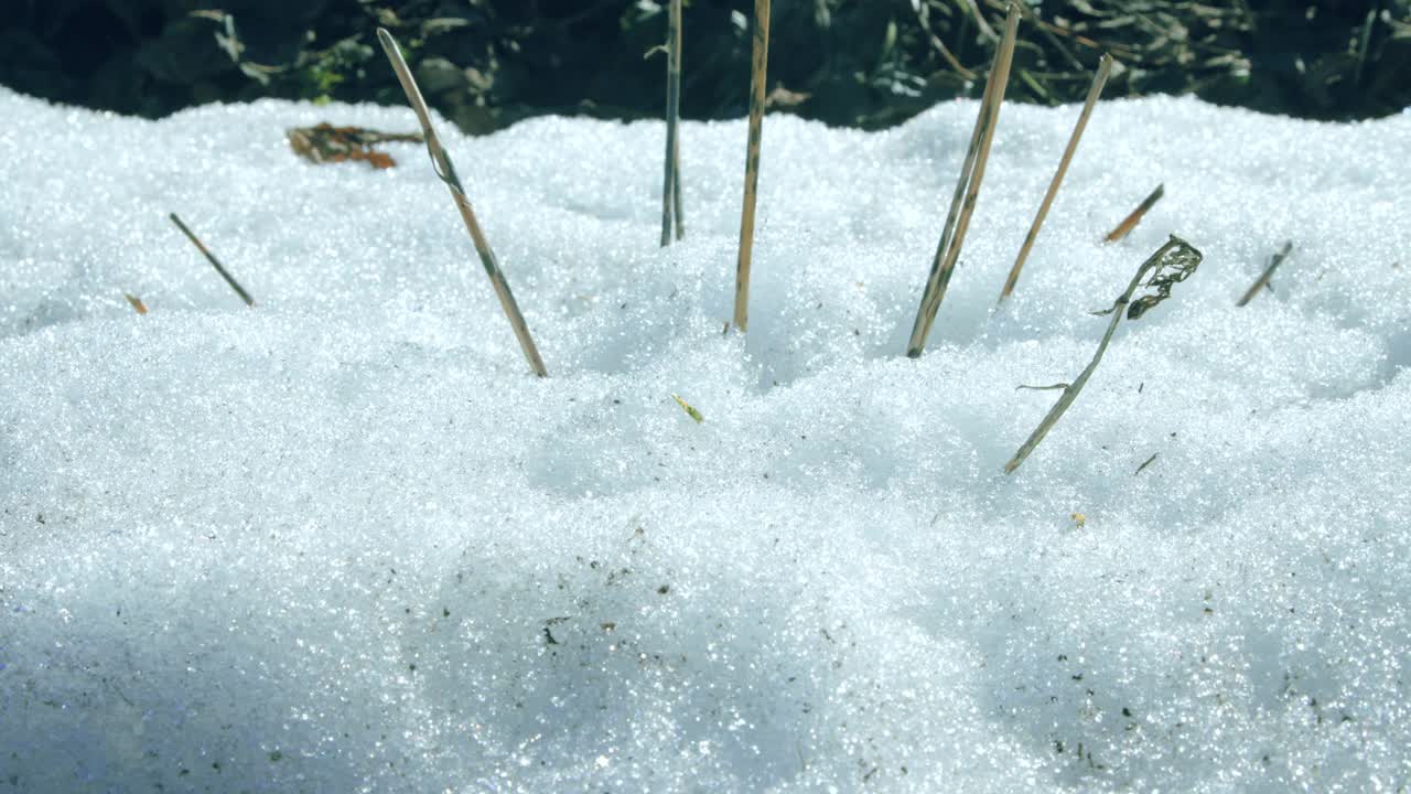 雪融化过程的特写镜头视频素材